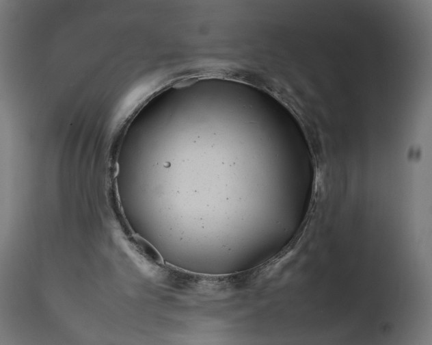 X0000111490101200907281237