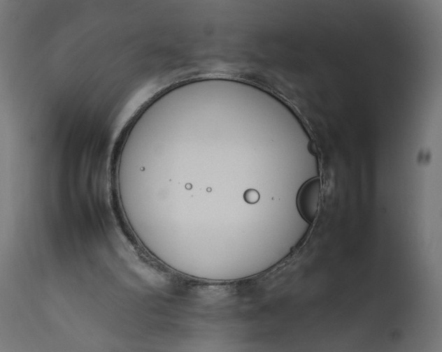 X0000111490102200907281237