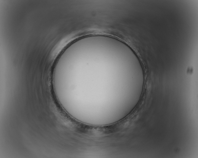 X0000111490103200907281237