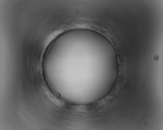 X0000111490104200907281237