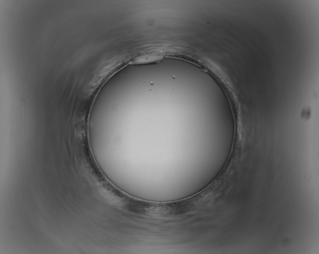 X0000111490105200907281237