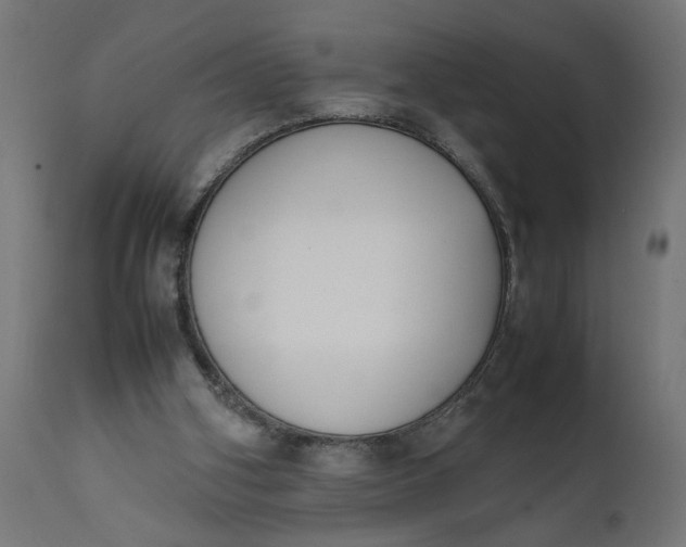 X0000111490106200907281237