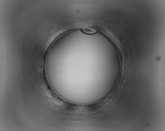 X0000111490107200907281237