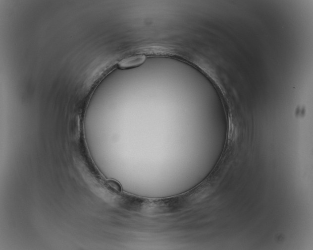 X0000111490109200907281237