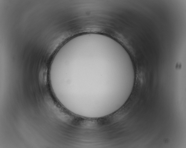 X0000111490110200907281237