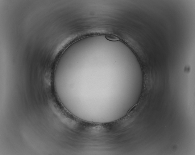 X0000111490112200907281237