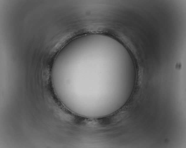 X0000111490113200907281237