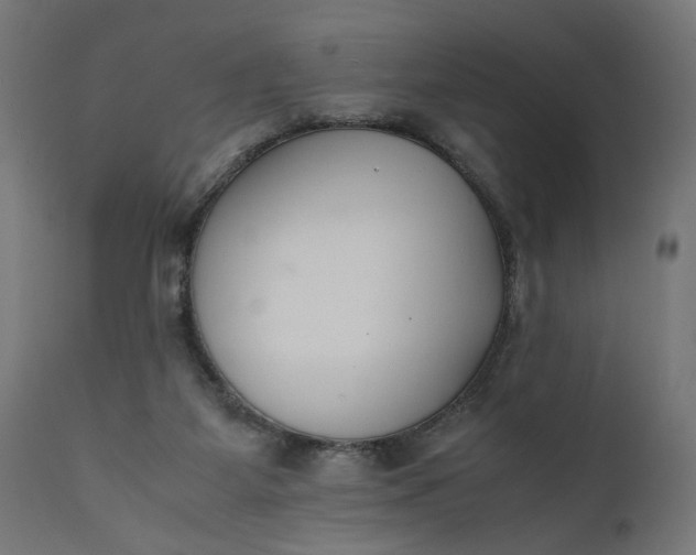 X0000111490115200907281237