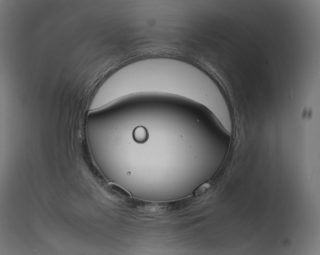 X0000111490117200907281237