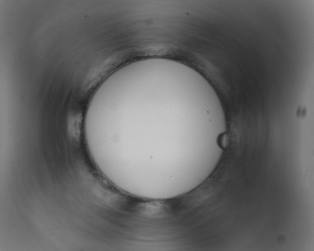 X0000111490118200907281237