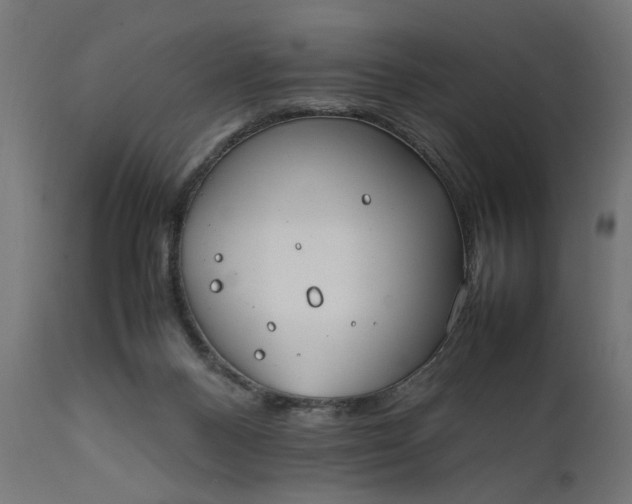 X0000111490120200907281237