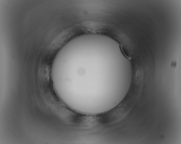 X0000111490121200907281237