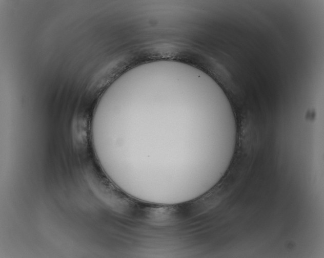 X0000111490122200907281237