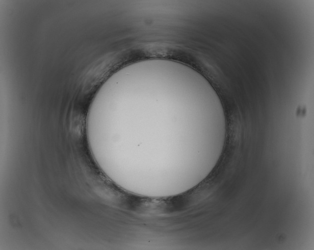 X0000111490125200907281237