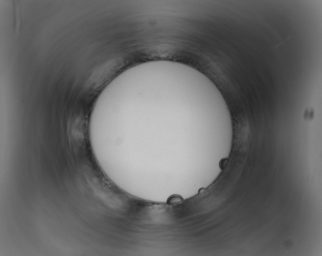 X0000111490126200907281237