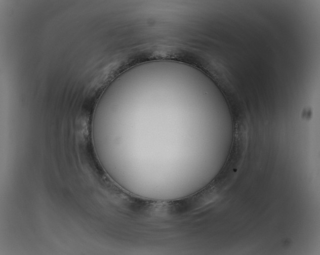 X0000111490127200907281237