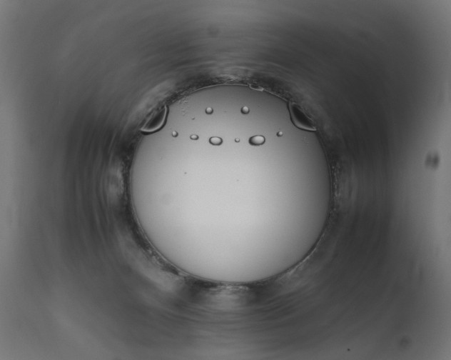 X0000111490128200907281237