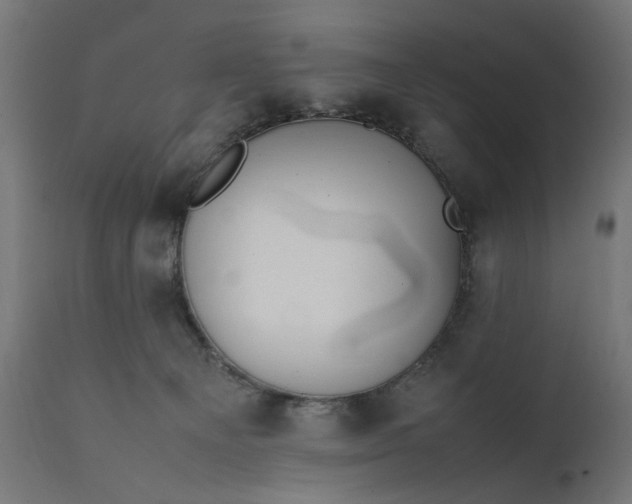 X0000111490129200907281236