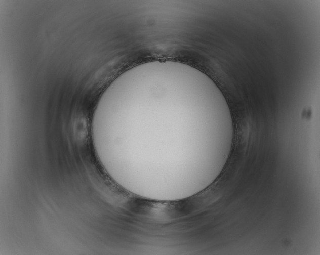 X0000111490130200907281236