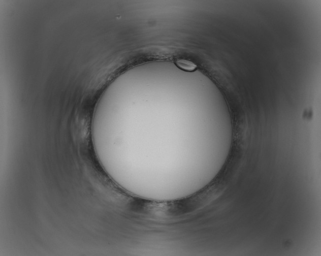 X0000111490131200907281236