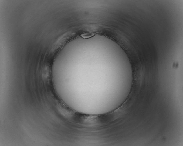 X0000111490132200907281236