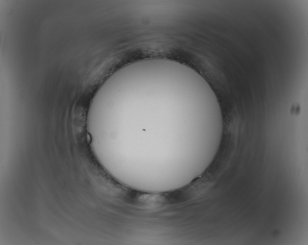 X0000111490133200907281236