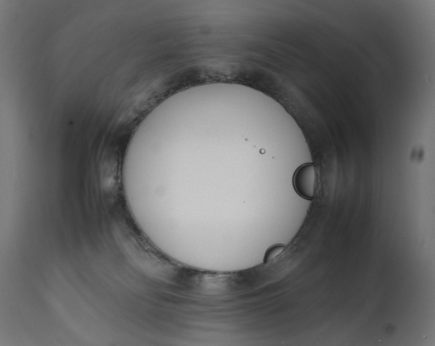 X0000111490134200907281236