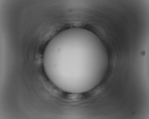 X0000111490135200907281236