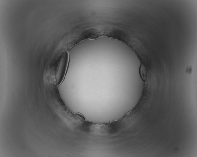 X0000111490137200907281236