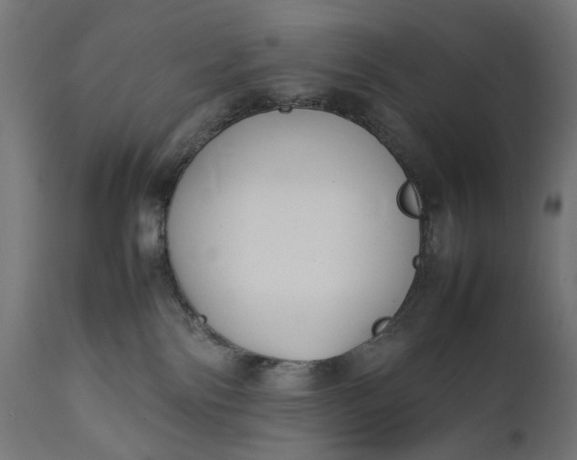 X0000111490138200907281236