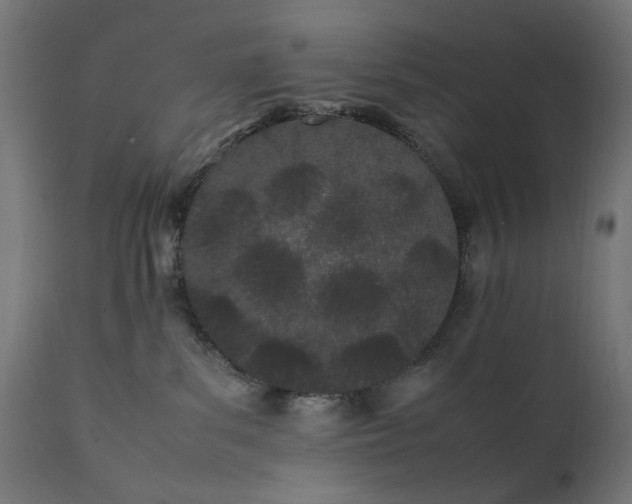 X0000111490139200907281236