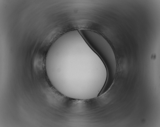 X0000111490140200907281236