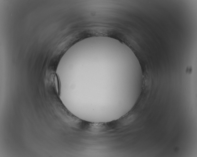 X0000111490141200907281236