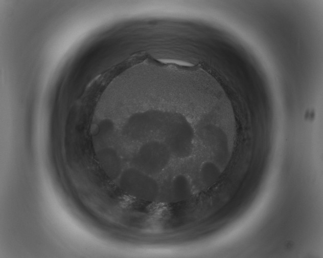 X0000111490143200907281236