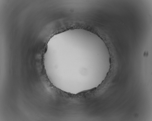 X0000111490144200907281236