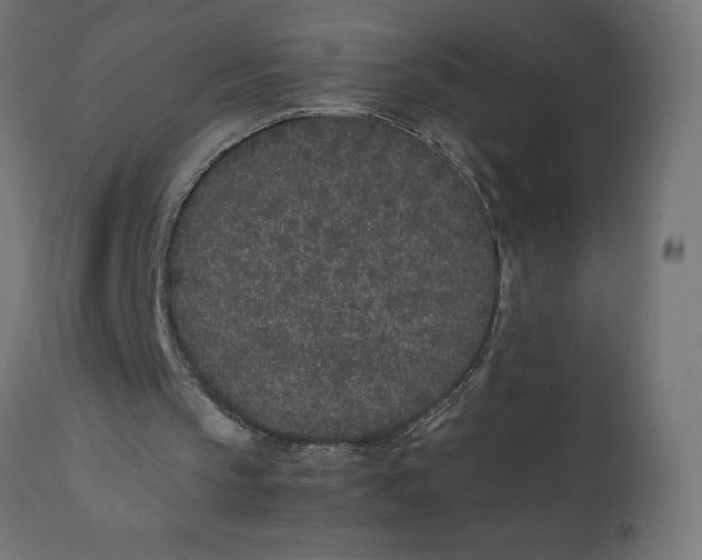 X0000111490145200907281235