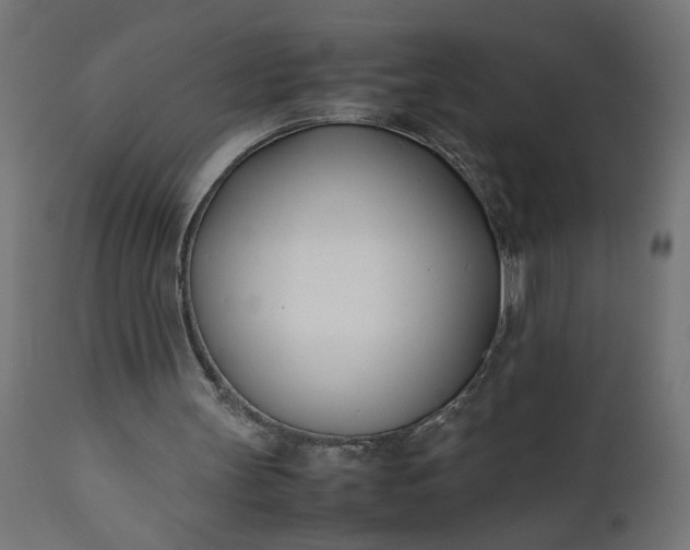 X0000111490147200907281235