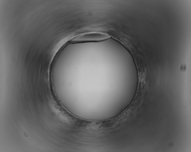 X0000111490148200907281235