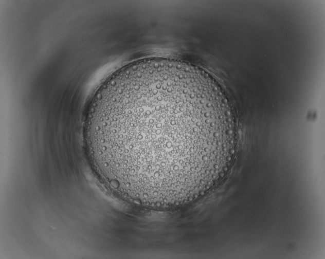 X0000111490149200907281235