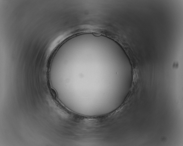 X0000111490150200907281236