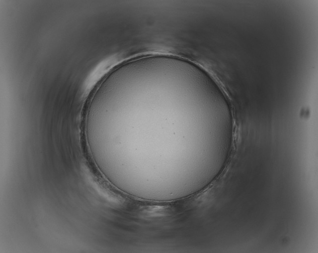 X0000111490151200907281236