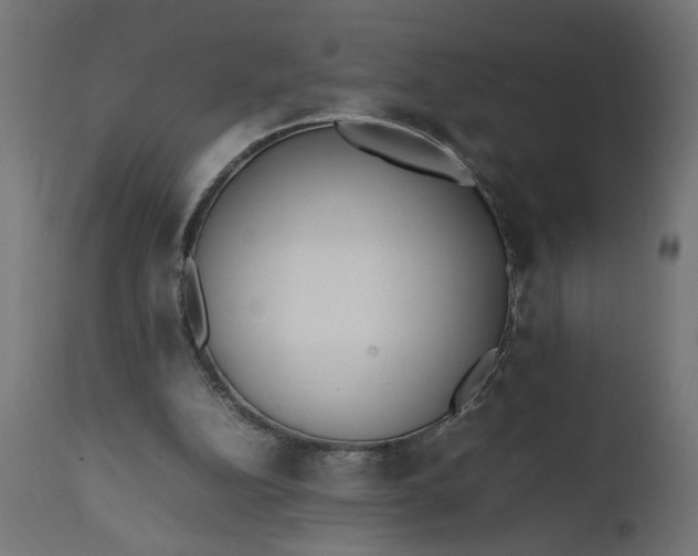 X0000111490152200907281236