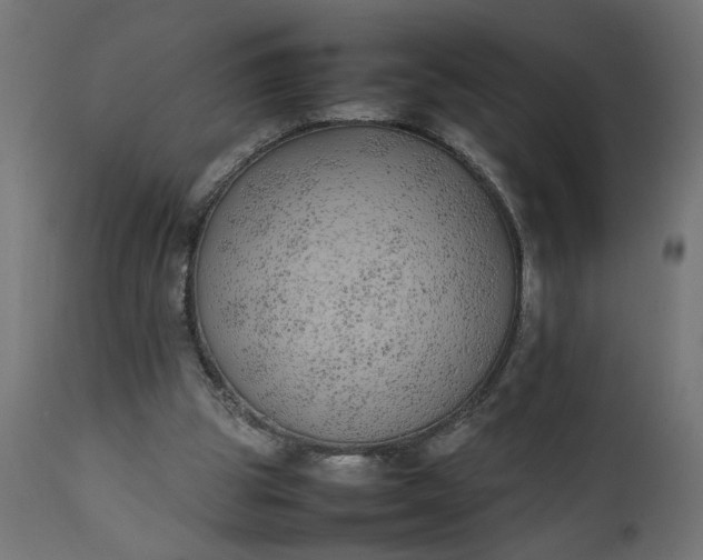 X0000111490153200907281236