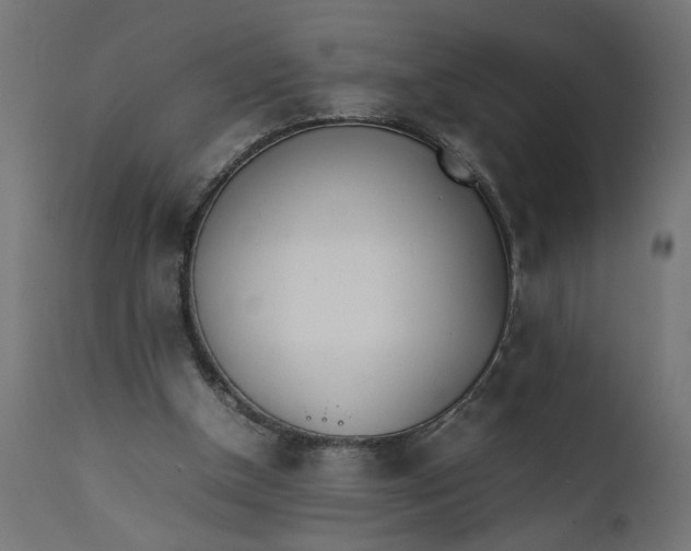 X0000111490154200907281236