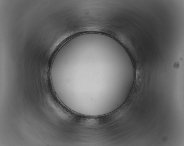 X0000111490156200907281236