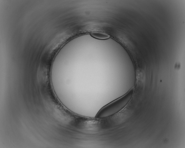 X0000111490158200907281236