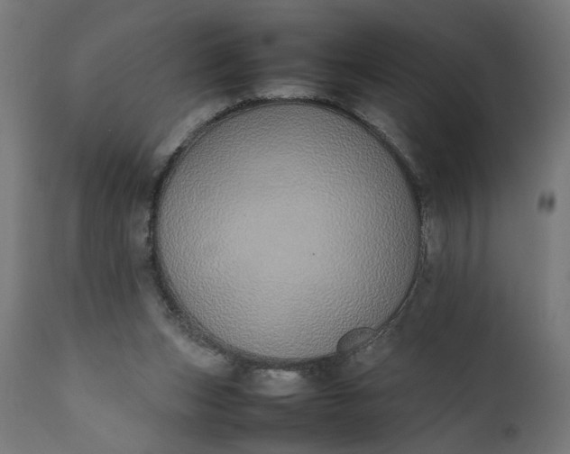 X0000111490159200907281236