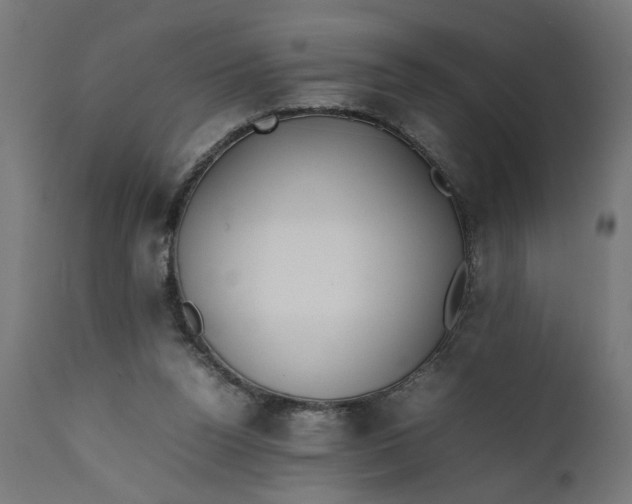 X0000111490160200907281236