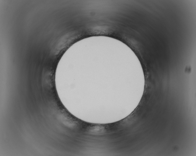 X0000111490162200907281236