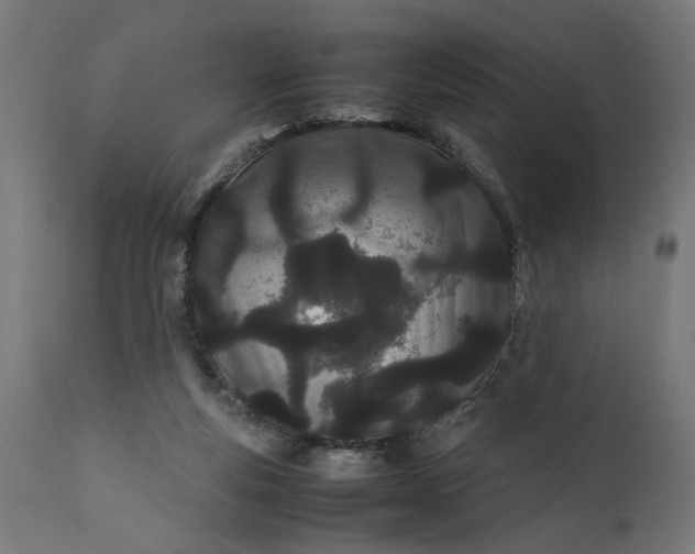 X0000111490163200907281236